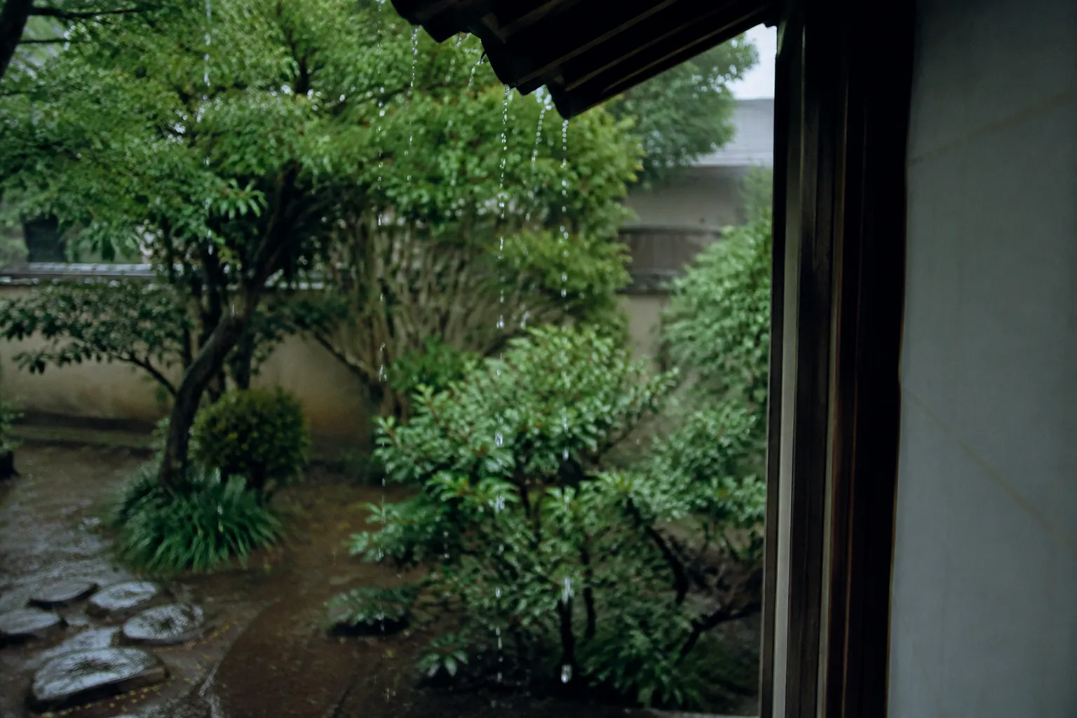 雨の日の日本家屋の軒先から庭へ落ちる水滴