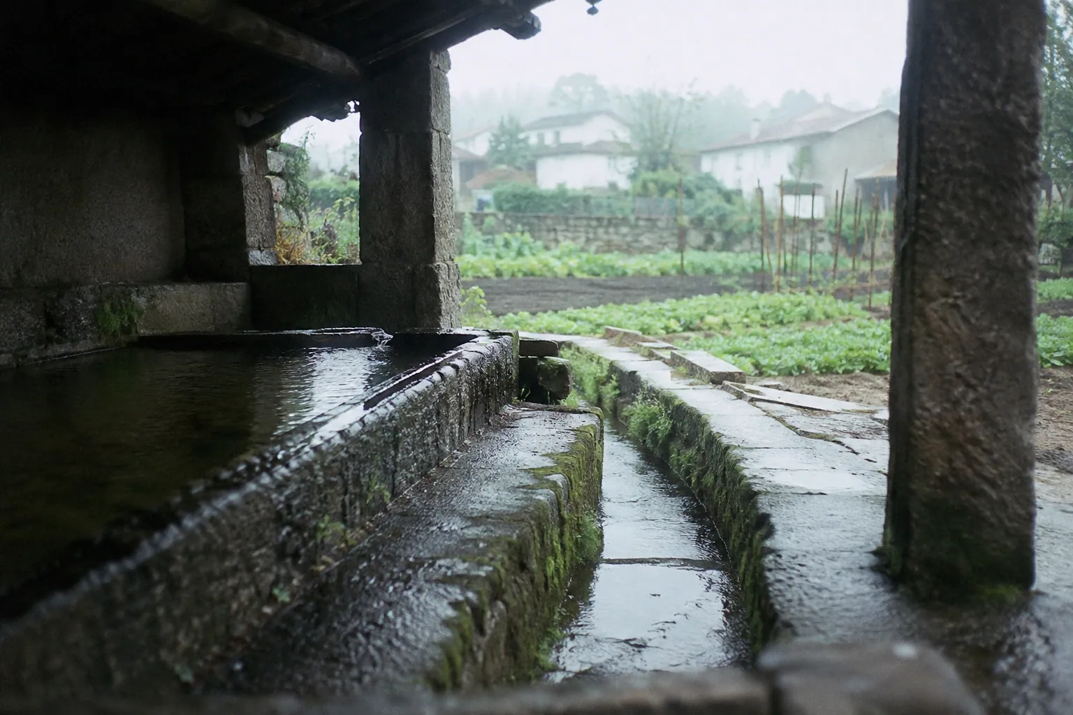 ソウザ地区の古い花崗岩の共同洗い場と水路、雨に濡れた野菜畑