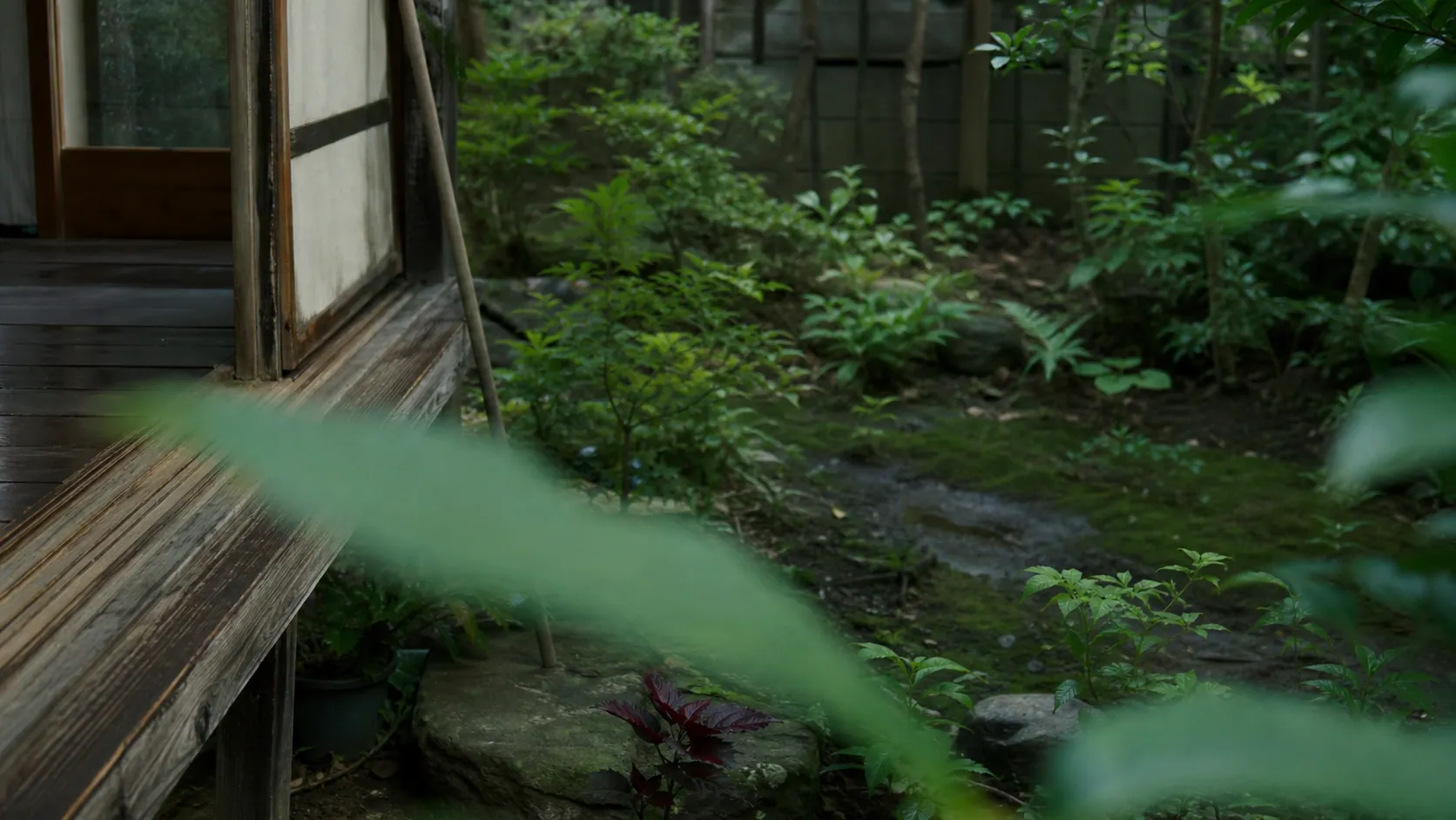 モリのいる場所 × 菅野 紅
