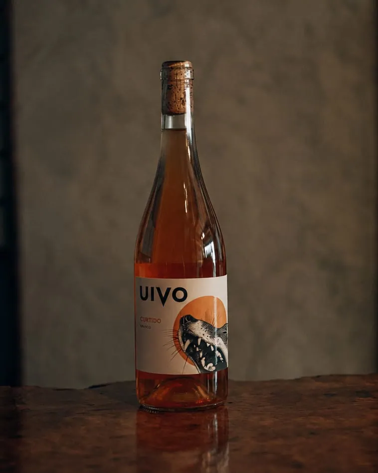 UIVO Curtido 2022